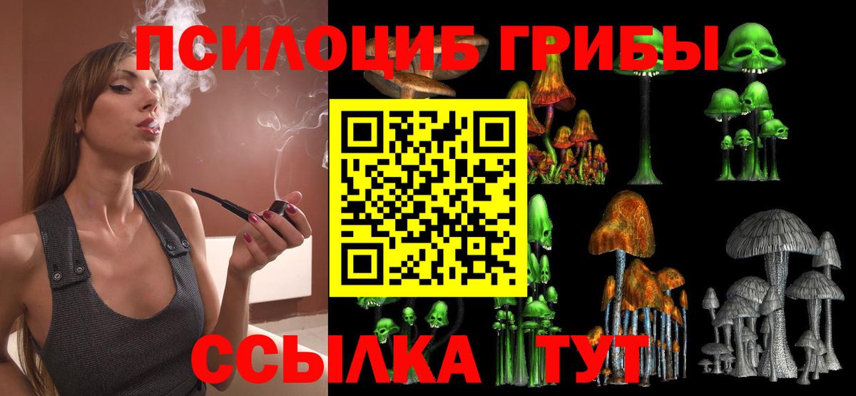 Галлюциногенные грибы Psilocybine cubensis  Вход с VPN  Сарапул 